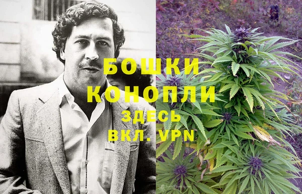 сатива Богданович