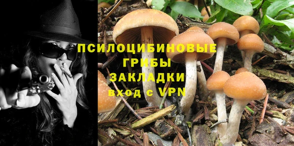 MDMA Новодвинск