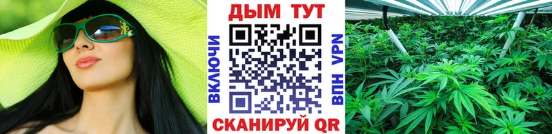 Бошки марихуана Bruce Banner  купить закладку  Дальнегорск 